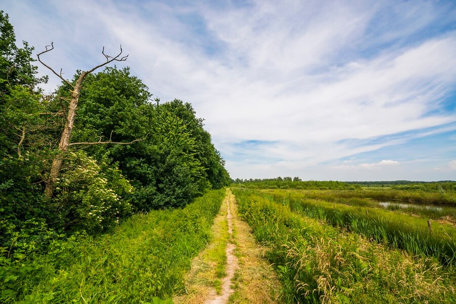 Hofstede_Landduin_Het_Buitenhuys_1_900x600