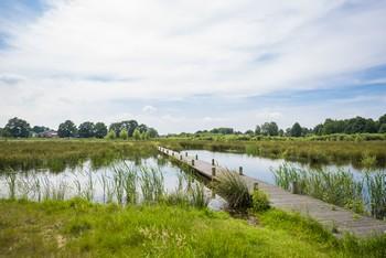 Landduin omgeving (24)